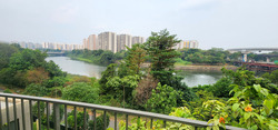 Rivertrees Residences (D28), Apartment #625051161